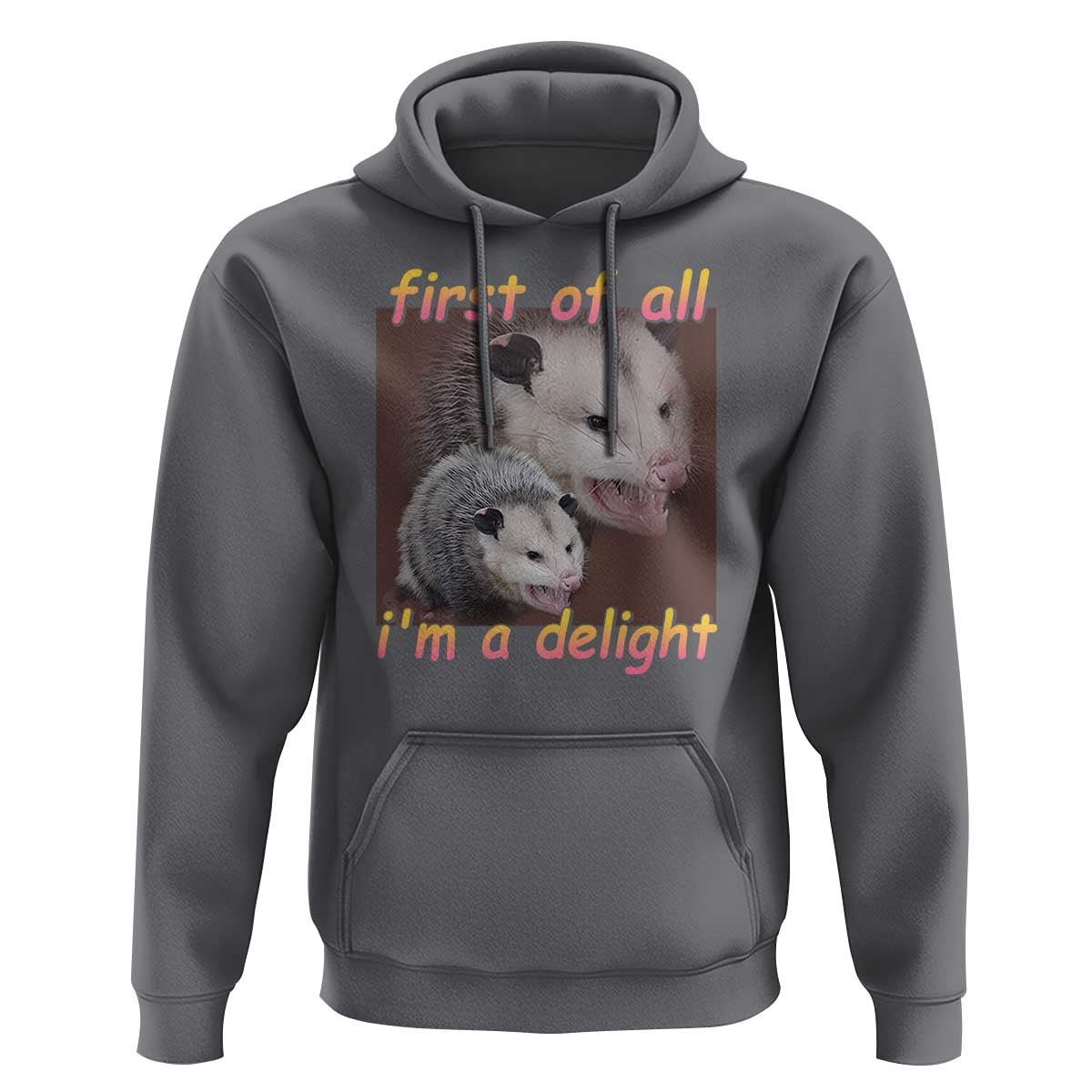 Funny Opossum Hoodie First Of All I'm A Delight - Wonder Print Shop