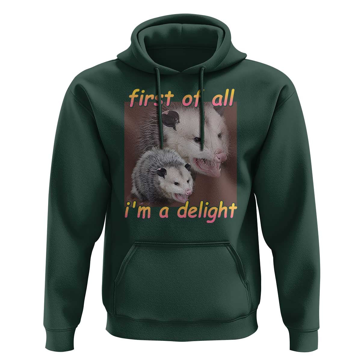 Funny Opossum Hoodie First Of All I'm A Delight - Wonder Print Shop