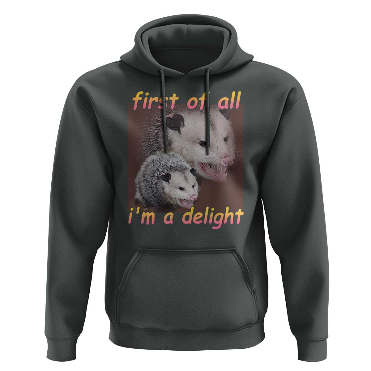 Funny Opossum Hoodie First Of All I'm A Delight - Wonder Print Shop