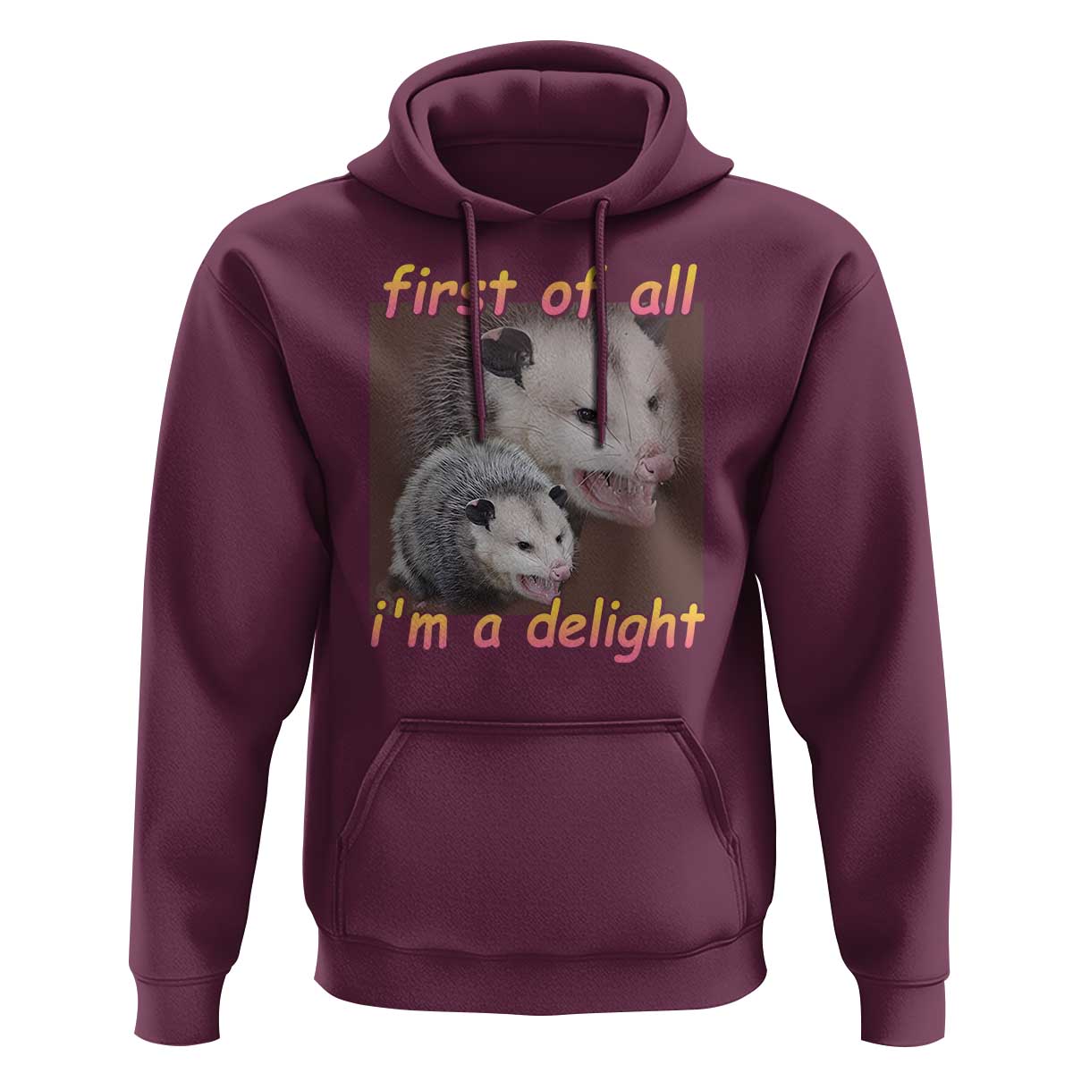Funny Opossum Hoodie First Of All I'm A Delight - Wonder Print Shop