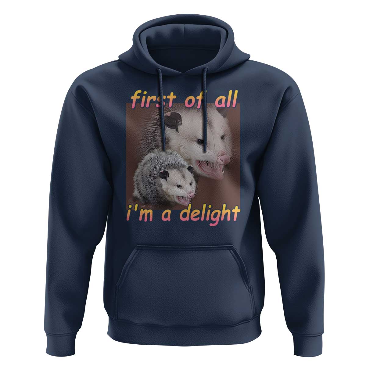 Funny Opossum Hoodie First Of All I'm A Delight - Wonder Print Shop