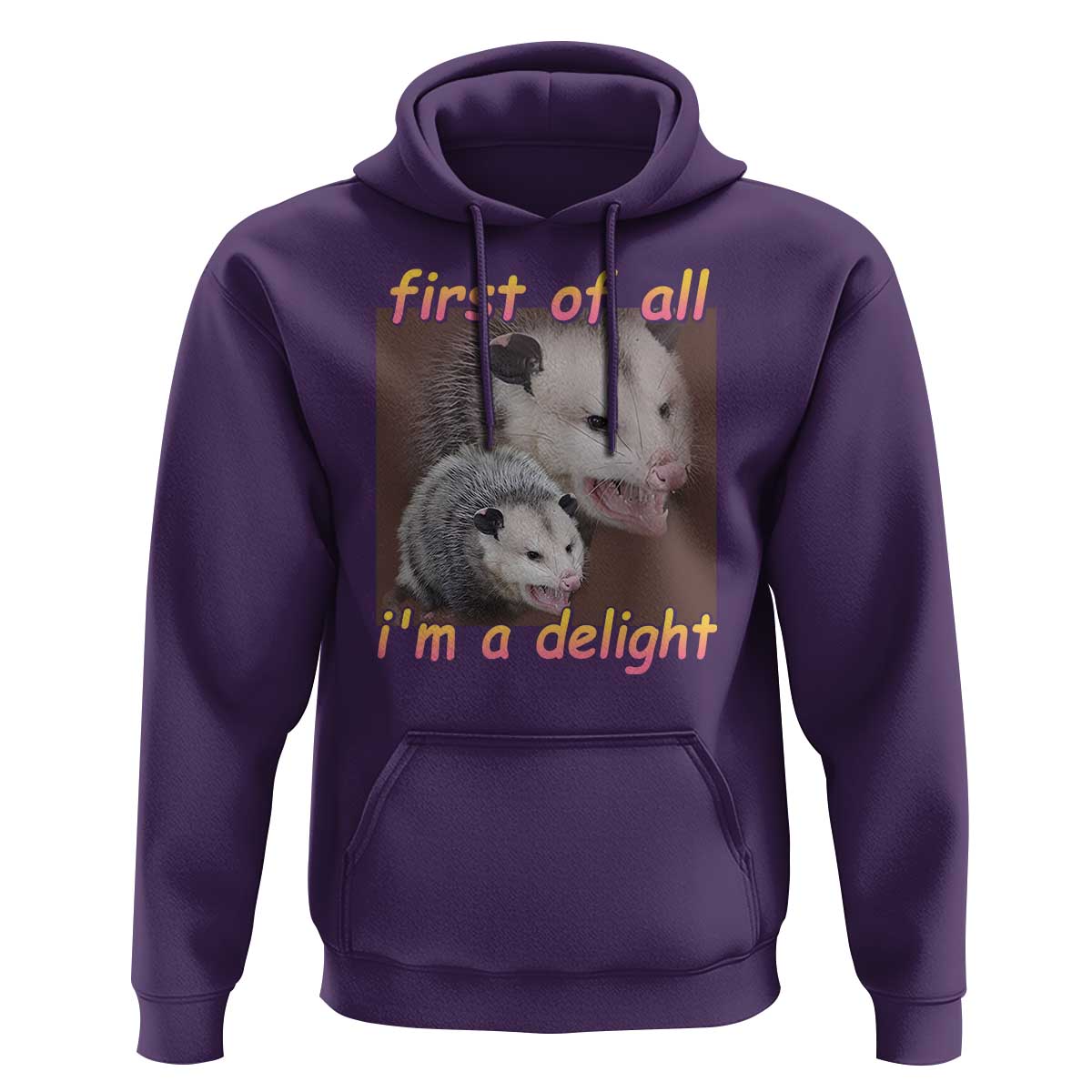 Funny Opossum Hoodie First Of All I'm A Delight - Wonder Print Shop