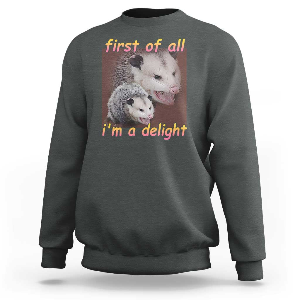 Funny Opossum Sweatshirt First Of All I'm A Delight - Wonder Print Shop