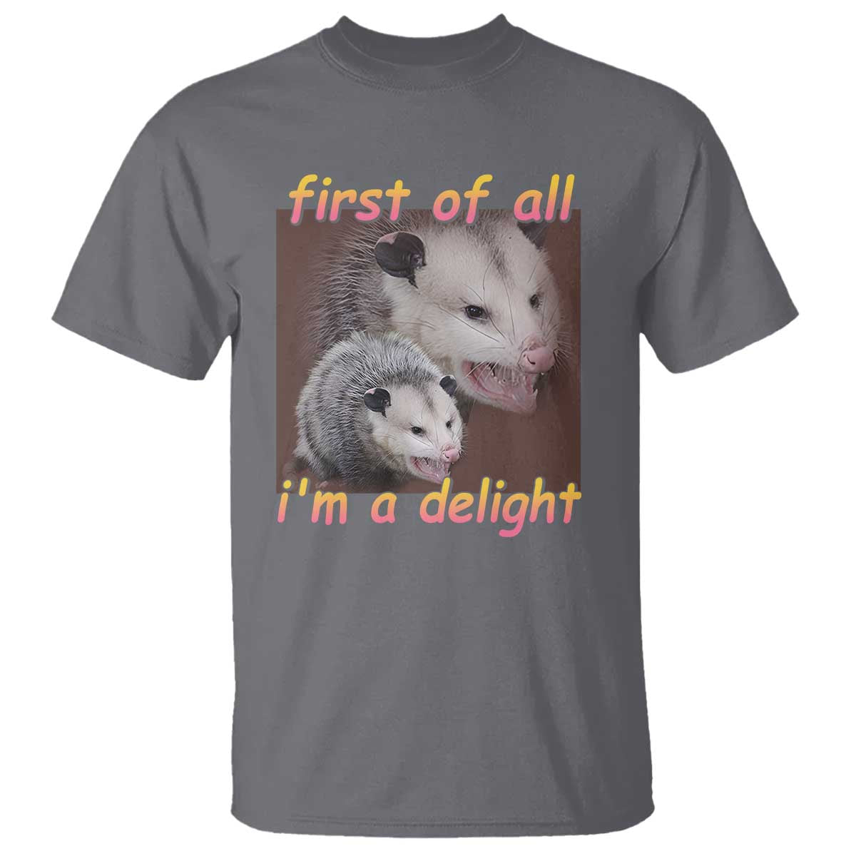 Funny Opossum T Shirt First Of All I'm A Delight - Wonder Print Shop