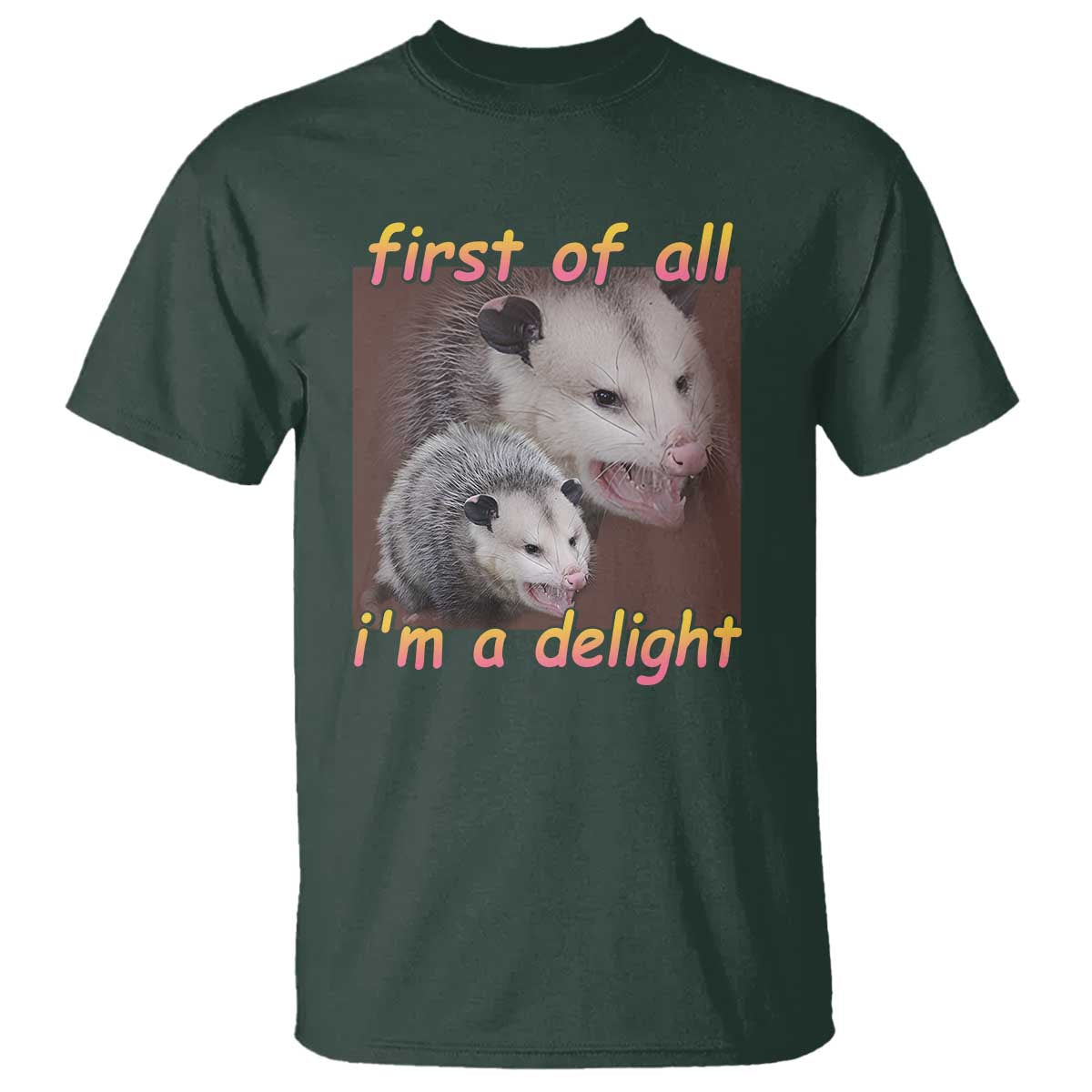 Funny Opossum T Shirt First Of All I'm A Delight - Wonder Print Shop