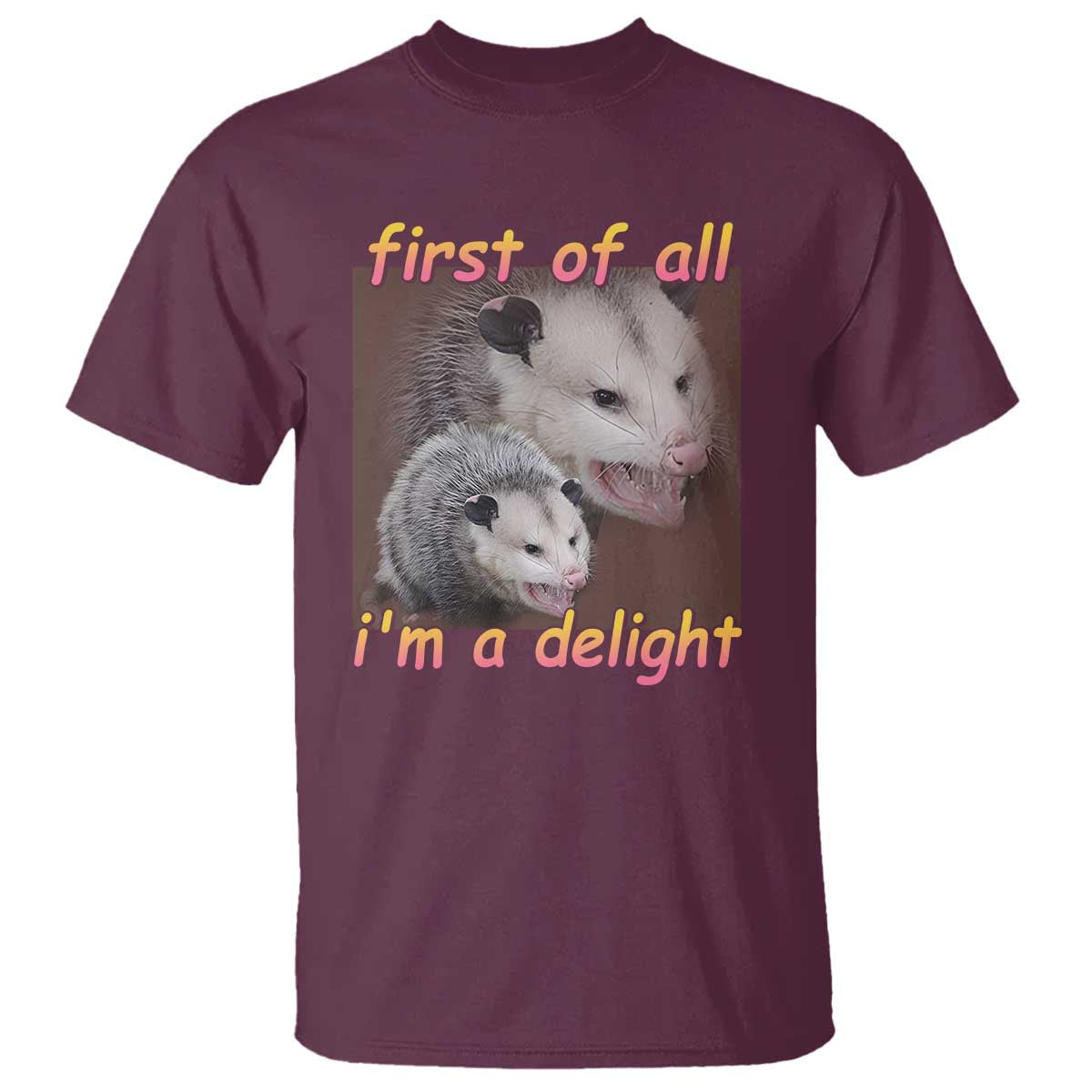 Funny Opossum T Shirt First Of All I'm A Delight - Wonder Print Shop