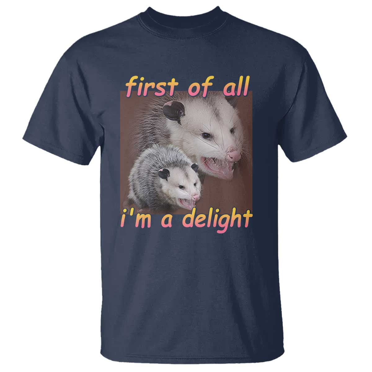 Funny Opossum T Shirt First Of All I'm A Delight - Wonder Print Shop