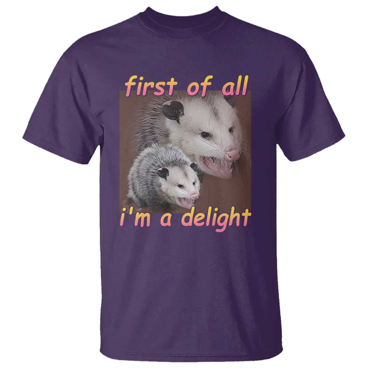 Funny Opossum T Shirt First Of All I'm A Delight - Wonder Print Shop