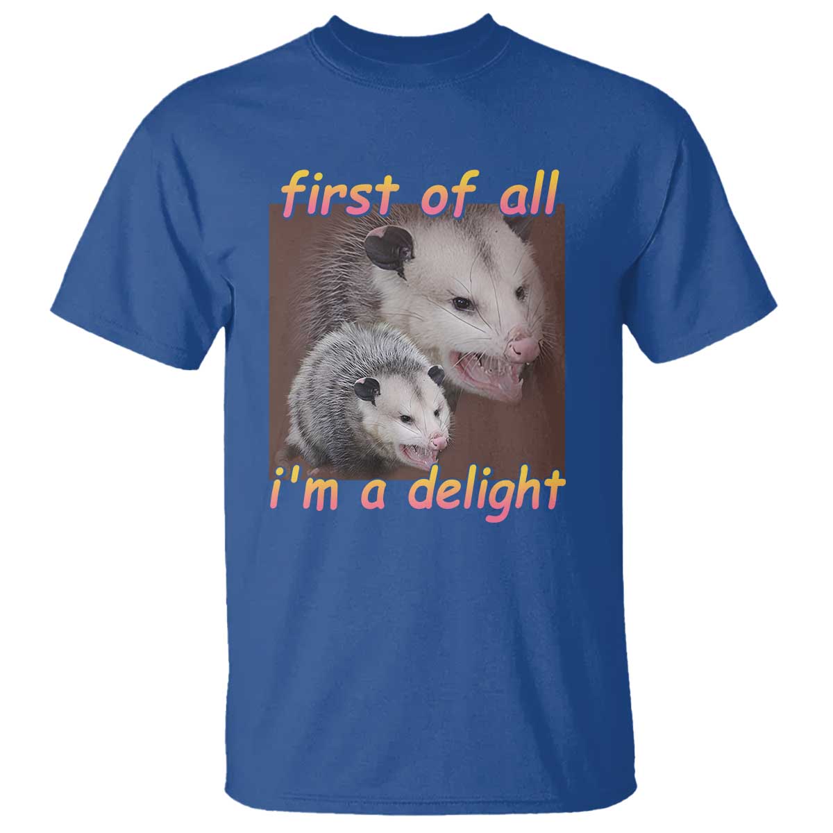 Funny Opossum T Shirt First Of All I'm A Delight - Wonder Print Shop