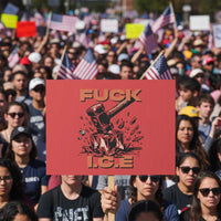 Crush Ice Protest Graphic Protest Sign Sledgehammer Smash Against Ice Political Resistance
