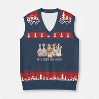Funny Christian Easter He Is Risen Silly Goose V-Neck Knit Sweater Vest Cute Faith-Based Geese Parody Gift with Jesus
