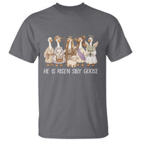 Funny Christian Easter He Is Risen Silly Goose T Shirt Cute Faith-Based Geese Parody Gift with Jesus