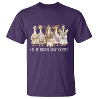 Funny Christian Easter He Is Risen Silly Goose T Shirt Cute Faith-Based Geese Parody Gift with Jesus