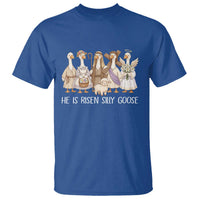 Funny Christian Easter He Is Risen Silly Goose T Shirt Cute Faith-Based Geese Parody Gift with Jesus