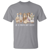 Funny Christian Easter He Is Risen Silly Goose T Shirt Cute Faith-Based Geese Parody Gift with Jesus