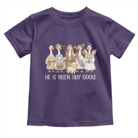 Funny Christian Easter He Is Risen Silly Goose Toddler T Shirt Cute Faith-Based Geese Parody Gift with Jesus