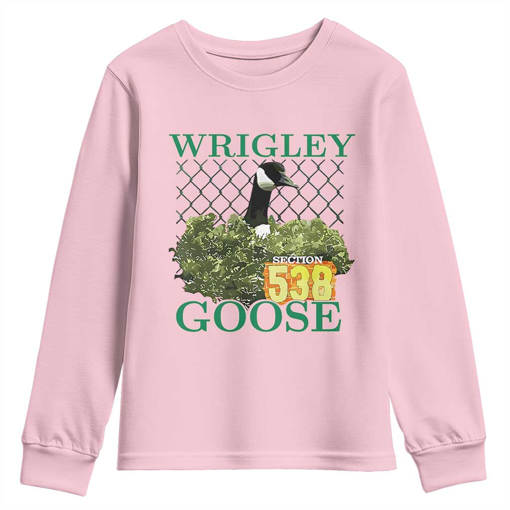 Funny Wrigley Goose Youth Sweatshirt Section 538 Chicago