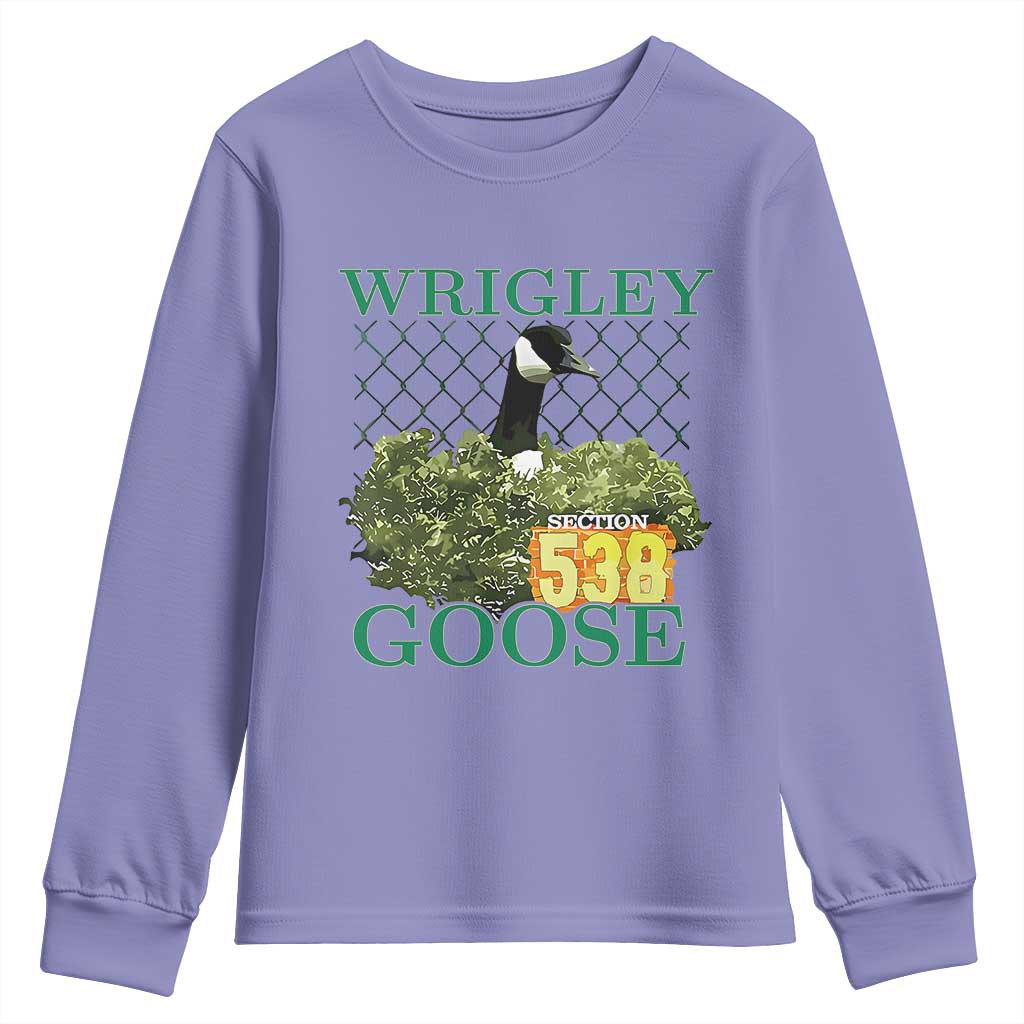 Funny Wrigley Goose Youth Sweatshirt Section 538 Chicago