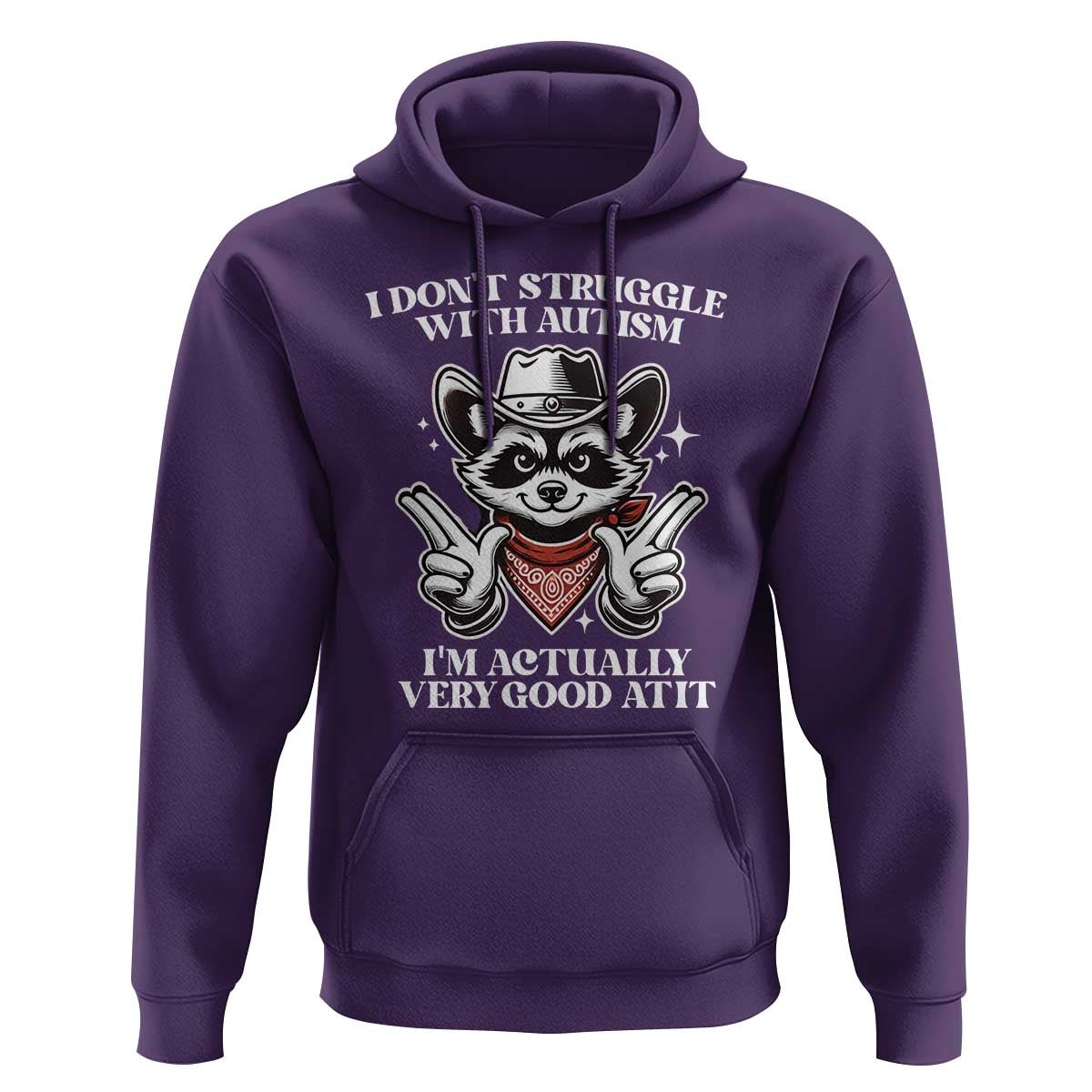 Funny Autistic Raccoon Hoodie I Don't Struggle With Autism