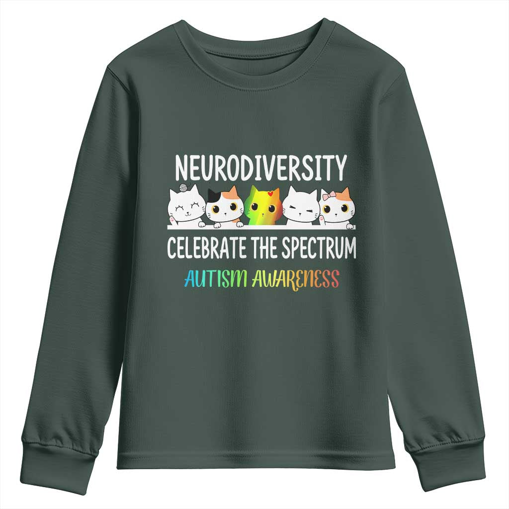 Cute Cats Autism Embrace Youth Sweatshirt Neurodiversity Celebrate The Spectrum