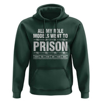 All My Role Models Went To Prison Hoodie Biblical History Heroes Faith Statement