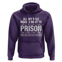 All My Role Models Went To Prison Hoodie Biblical History Heroes Faith Statement