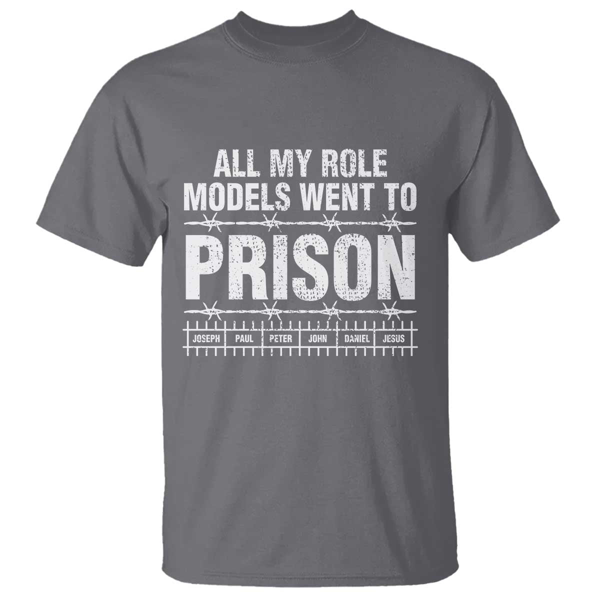 All My Role Models Went To Prison T Shirt Biblical History Heroes Faith Statement