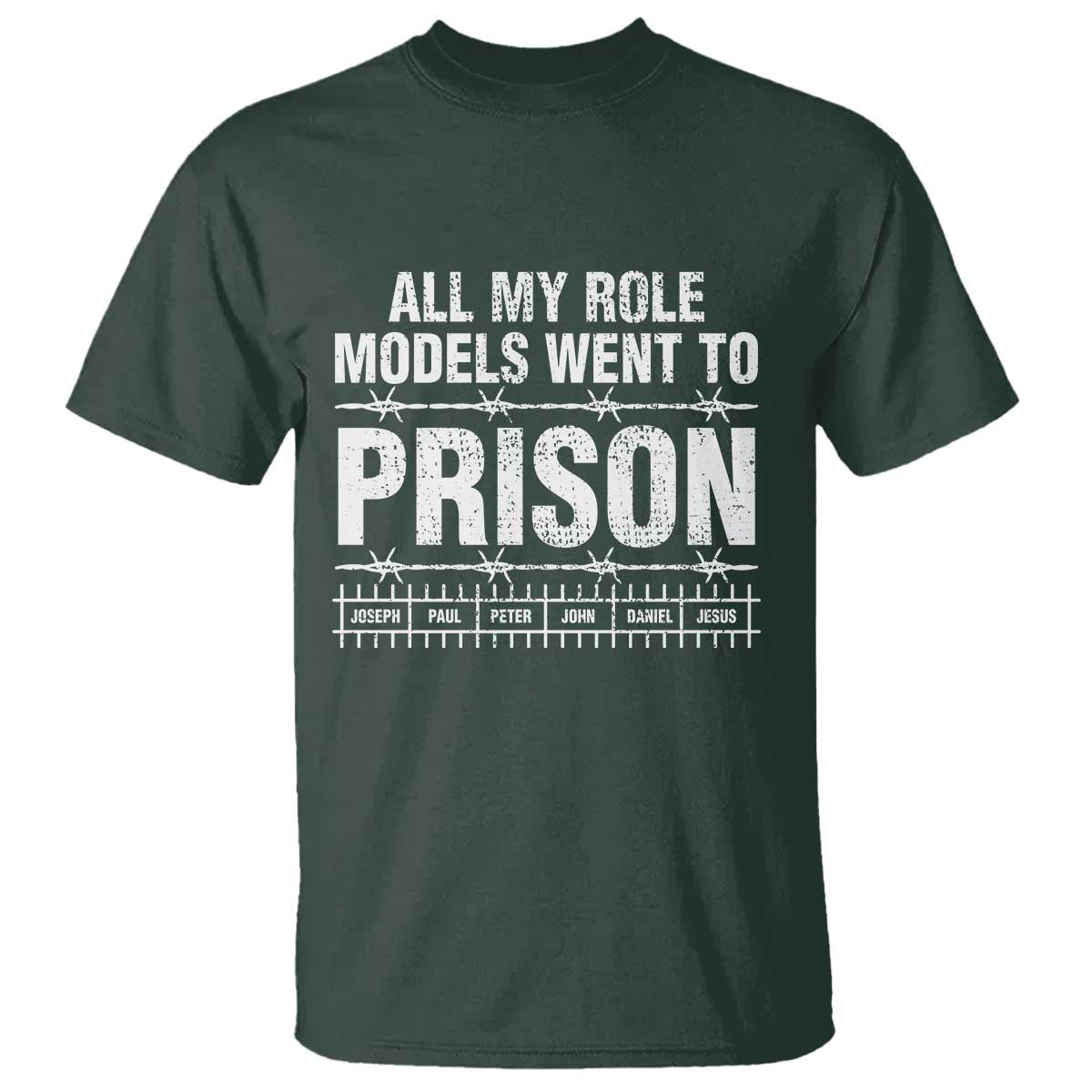 All My Role Models Went To Prison T Shirt Biblical History Heroes Faith Statement