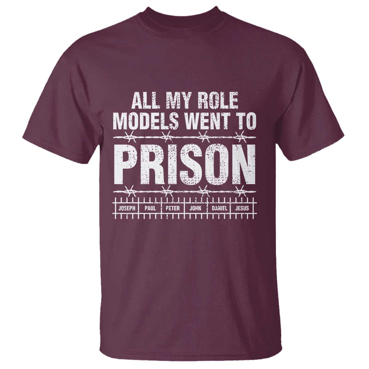 All My Role Models Went To Prison T Shirt Biblical History Heroes Faith Statement