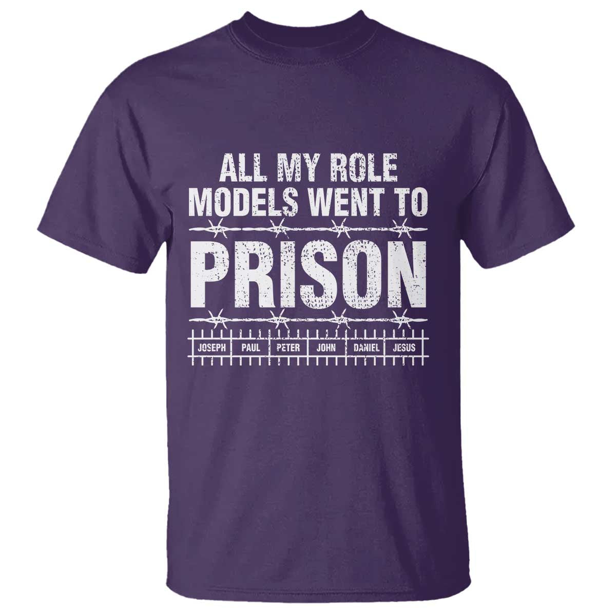 All My Role Models Went To Prison T Shirt Biblical History Heroes Faith Statement