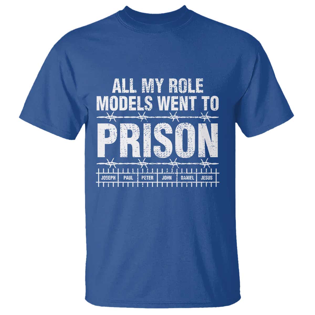 All My Role Models Went To Prison T Shirt Biblical History Heroes Faith Statement