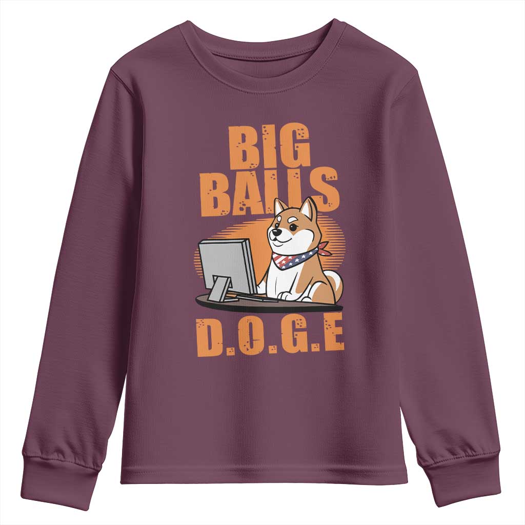 Funny Big Balls D.O.G.E Youth Sweatshirt DOGE Shiba