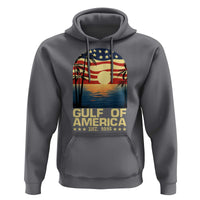 Gulf Of America Hoodie Est 2025 American Flag Retro