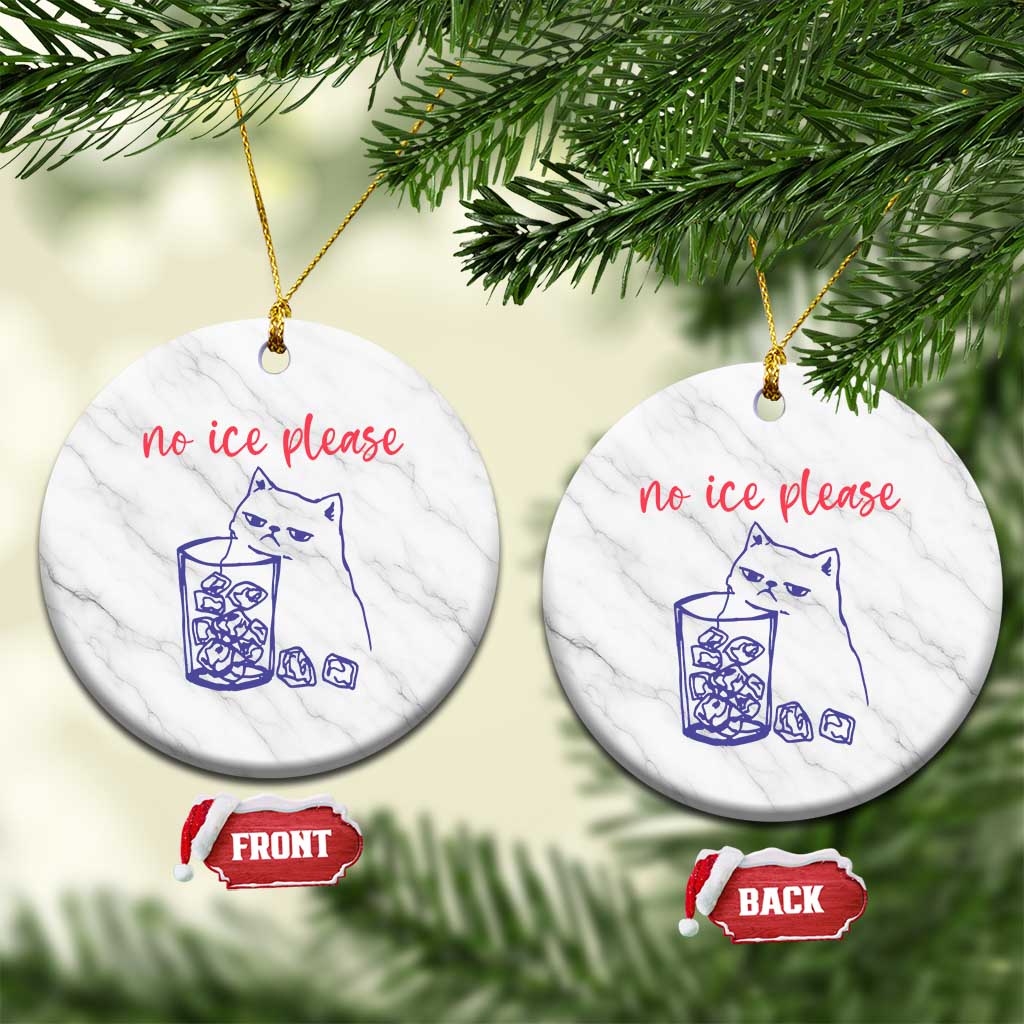 No Ice Please Funny Cat Meme Ceramic Ornament Subtle Against Ice Protest Political Resistance