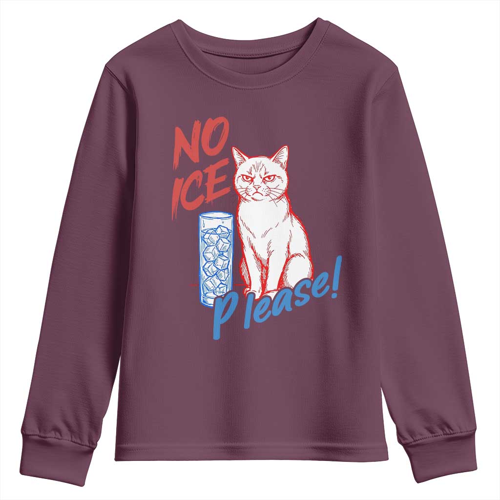 No Ice Please Angry Cat Graphic Youth Sweatshirt Subtle Against Ice Protest Political Resistance