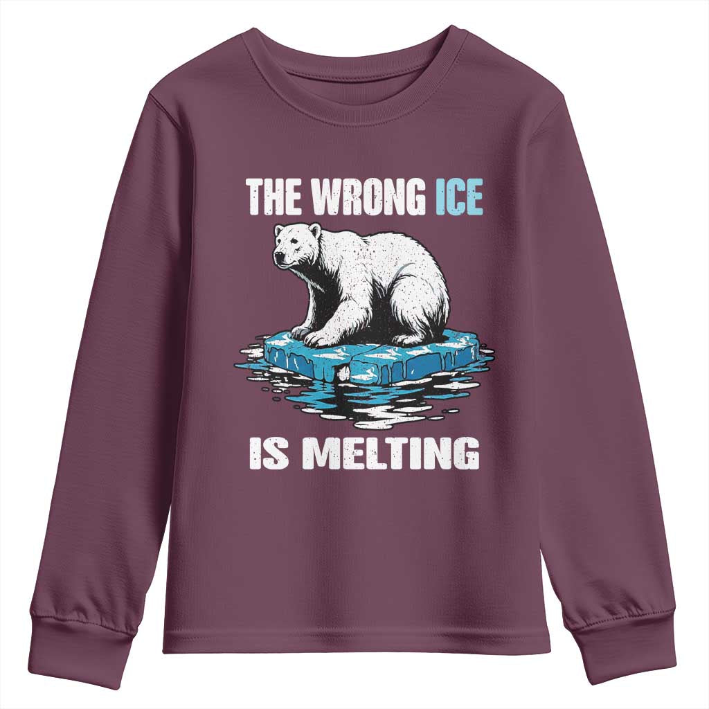 The Wrong Ice is Melting Polar Bear Youth Sweatshirt Against Ice Environmental Activist Protest