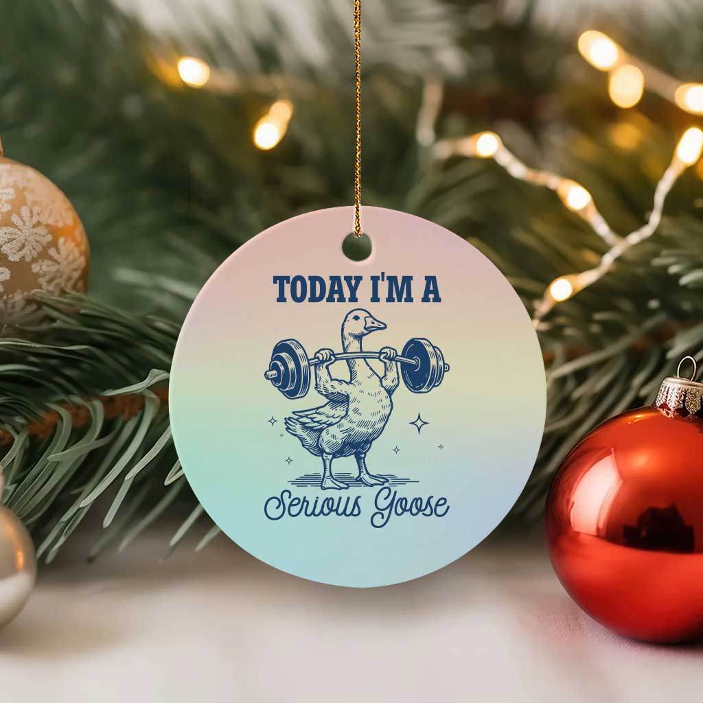 Funny Workout Silly Goose Ceramic Ornament Today I'm A Serious Goose Lifting Weights Gym - Wonder Print Shop
