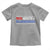 Red White and Blueberries Toddler T Shirt Patriotic Tribute Memorial - Wonder Print Shop