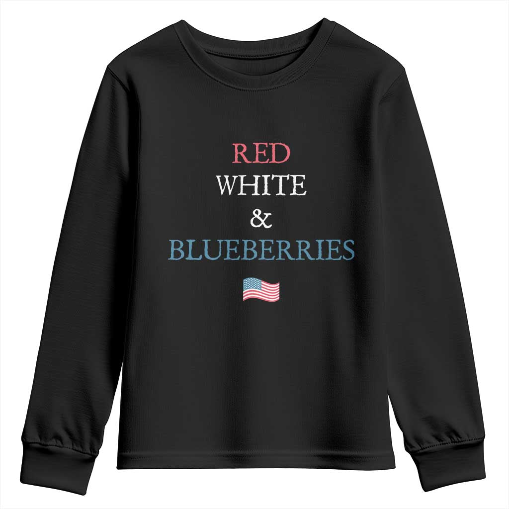 Red White and Blueberries Youth Sweatshirt Vintage American Flag Patriotic - Wonder Print Shop