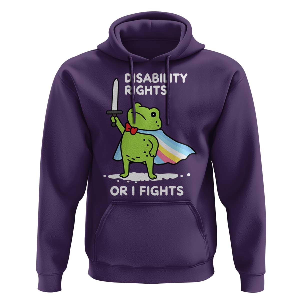 Funny Frog Disability Pride Flag Warrior Hoodie Disability Rights Or I Fights