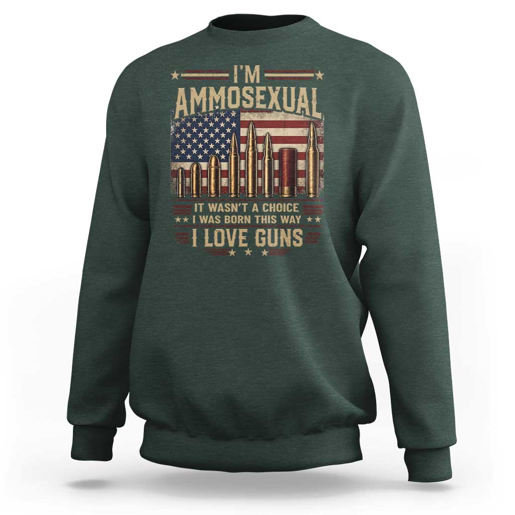 Funny Patriotic Second Amendment Humor American Flag Sweatshirt Im Ammosexual I Love Guns Owners Veterans
