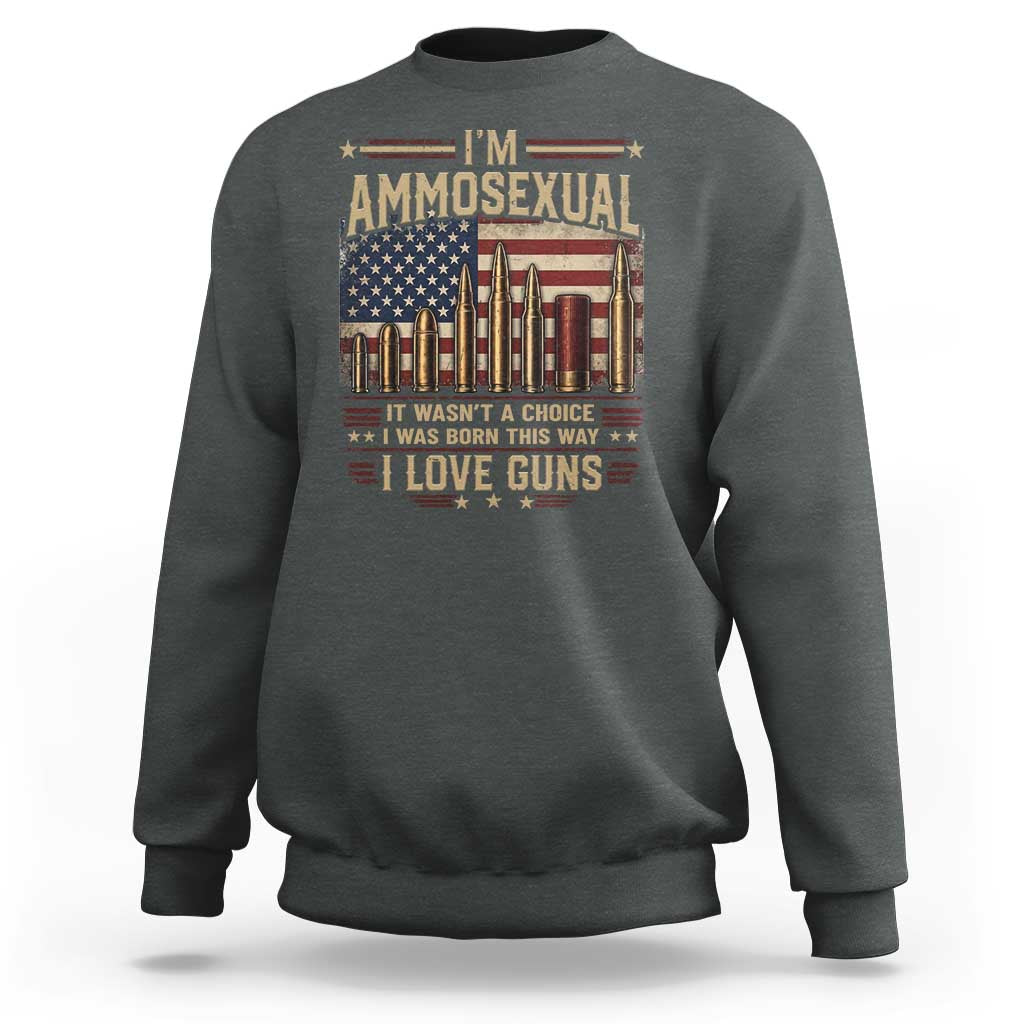 Funny Patriotic Second Amendment Humor American Flag Sweatshirt Im Ammosexual I Love Guns Owners Veterans