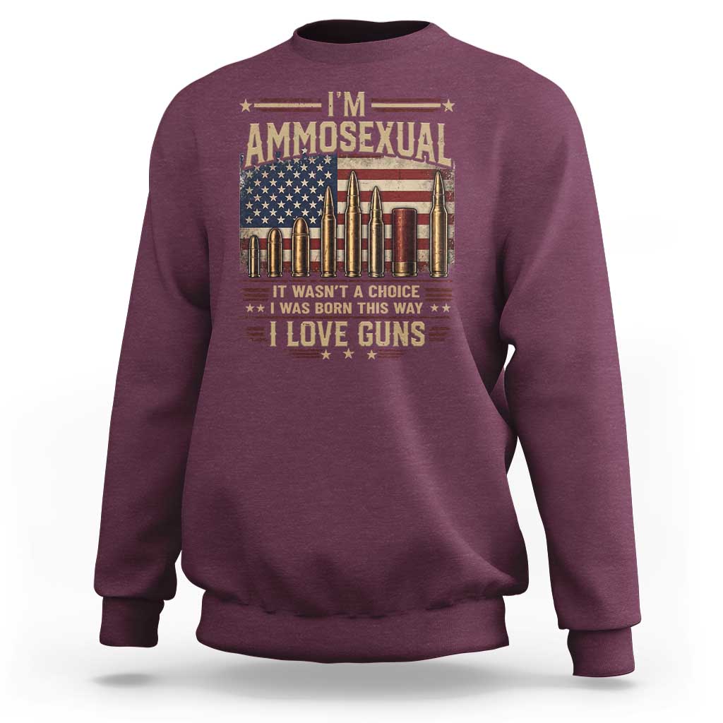 Funny Patriotic Second Amendment Humor American Flag Sweatshirt Im Ammosexual I Love Guns Owners Veterans