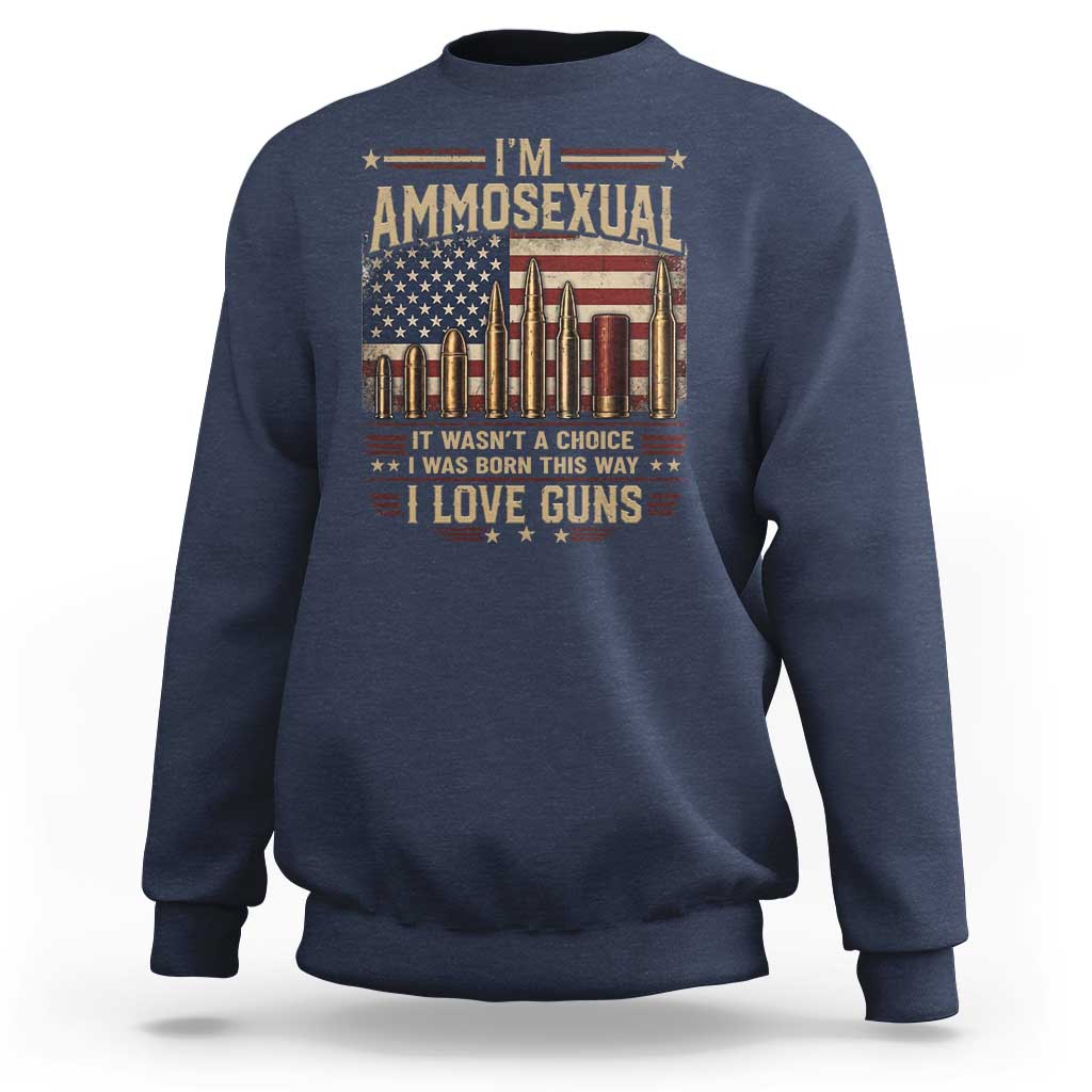 Funny Patriotic Second Amendment Humor American Flag Sweatshirt Im Ammosexual I Love Guns Owners Veterans