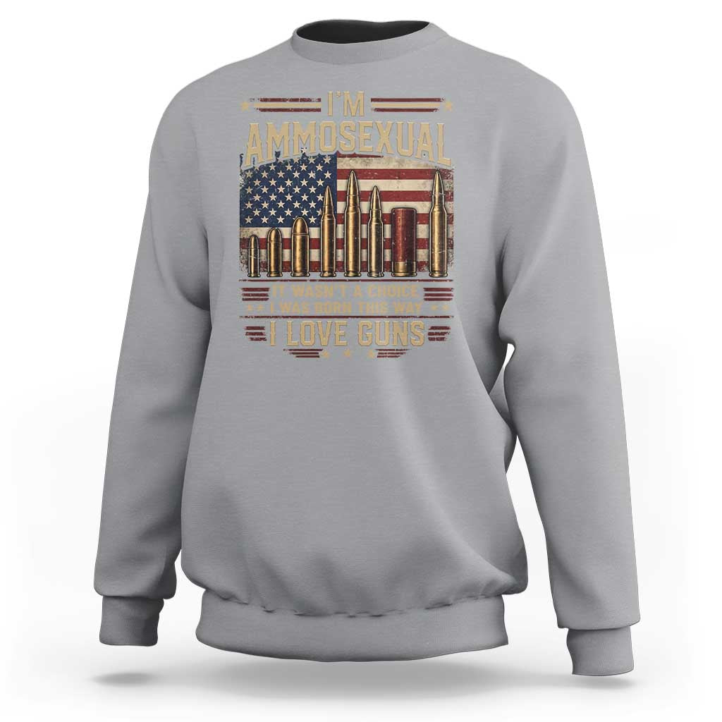 Funny Patriotic Second Amendment Humor American Flag Sweatshirt Im Ammosexual I Love Guns Owners Veterans