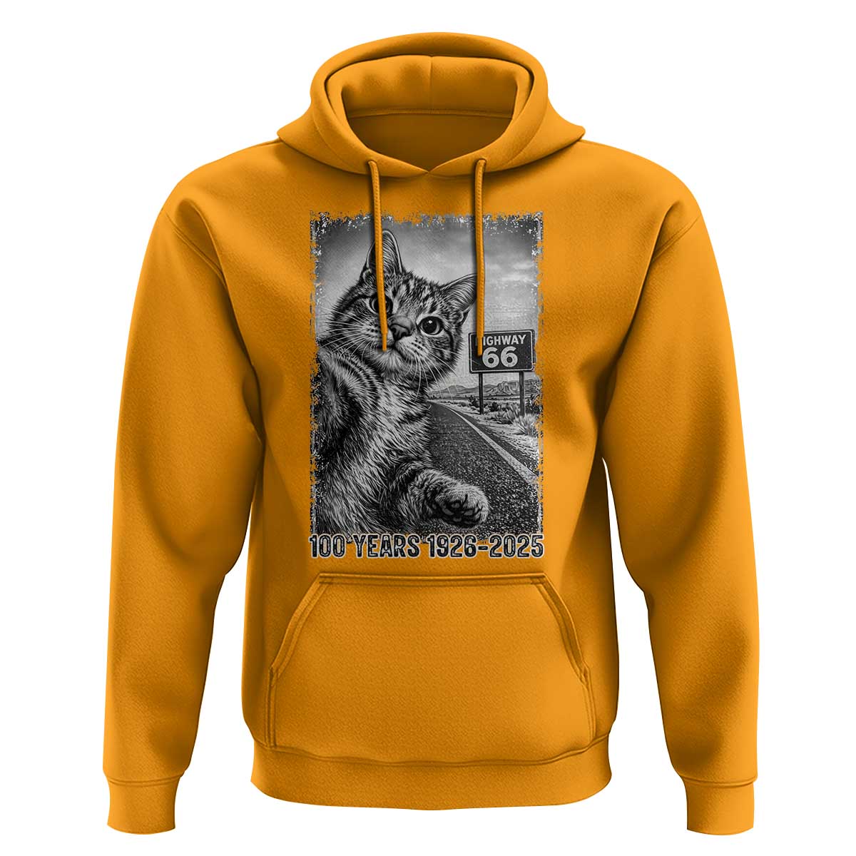 Funny Road Trip Cat Selfie with Highway 66 Hoodie Centennial 1926-2026 Historic Highway Humor