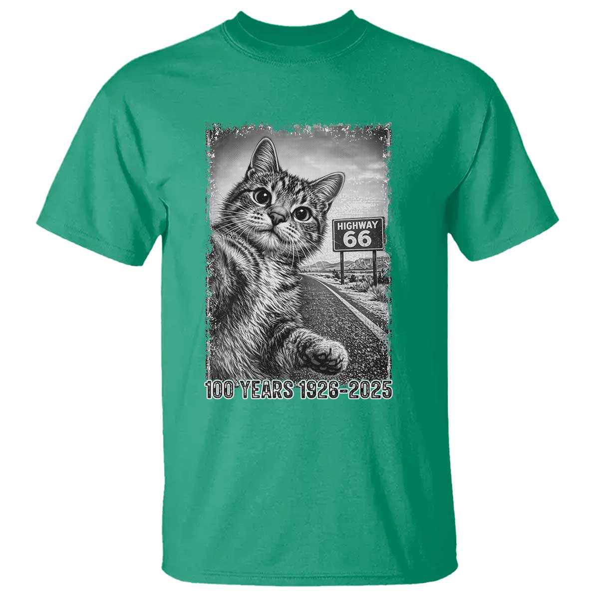 Funny Road Trip Cat Selfie with Highway 66 T Shirt Centennial 1926-2026 Historic Highway Humor