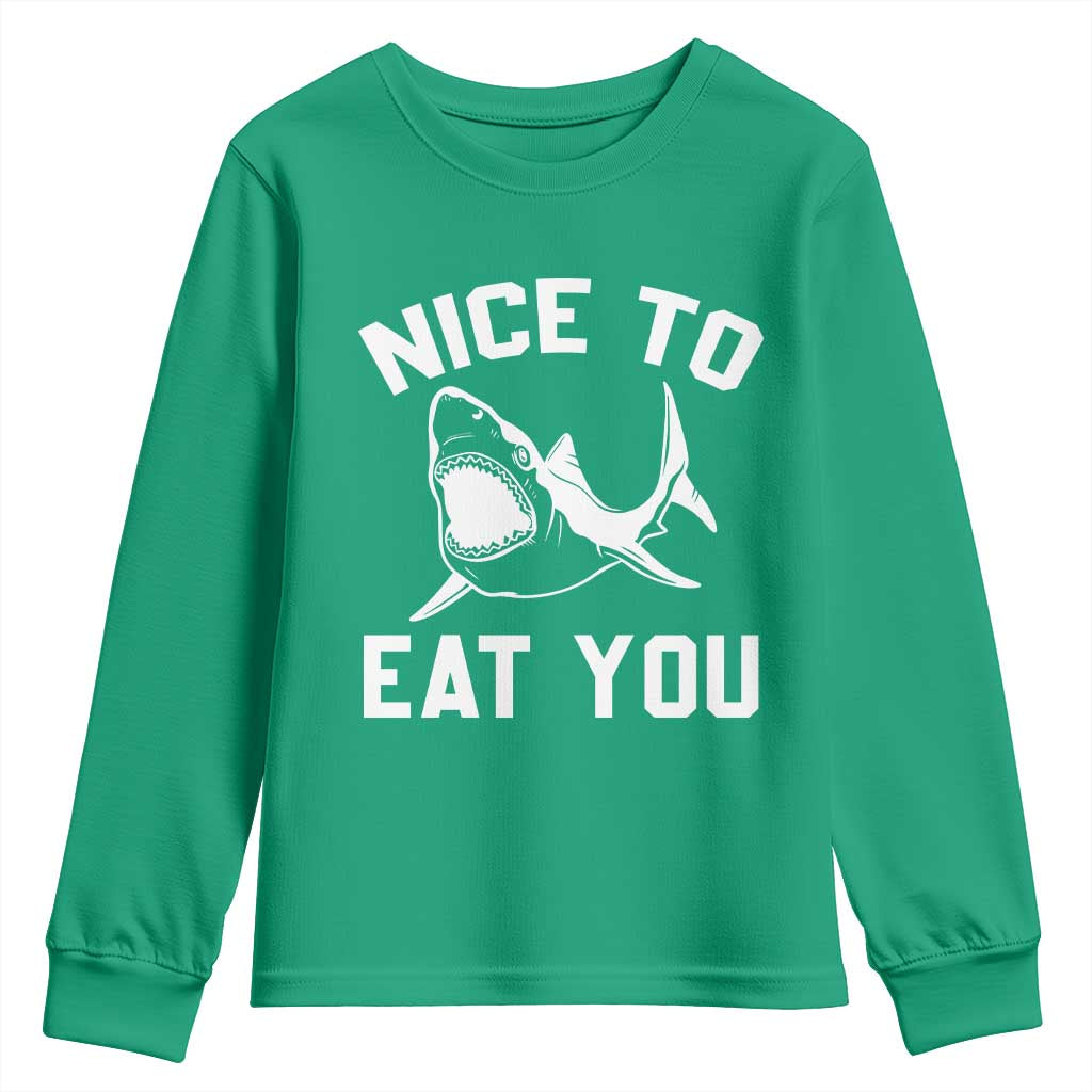 Funny Shark Lover Youth Sweatshirt Nice To Eat You - Wonder Print Shop