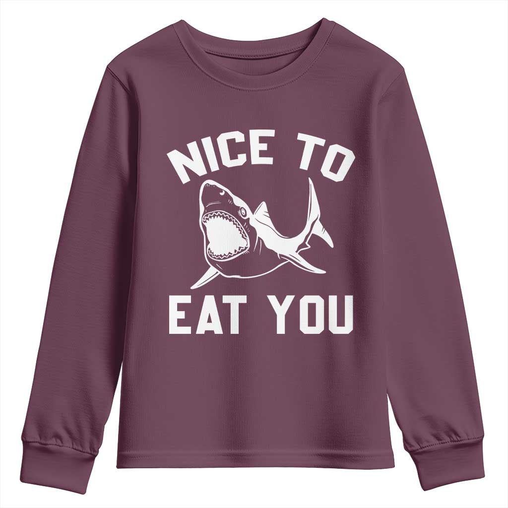 Funny Shark Lover Youth Sweatshirt Nice To Eat You - Wonder Print Shop