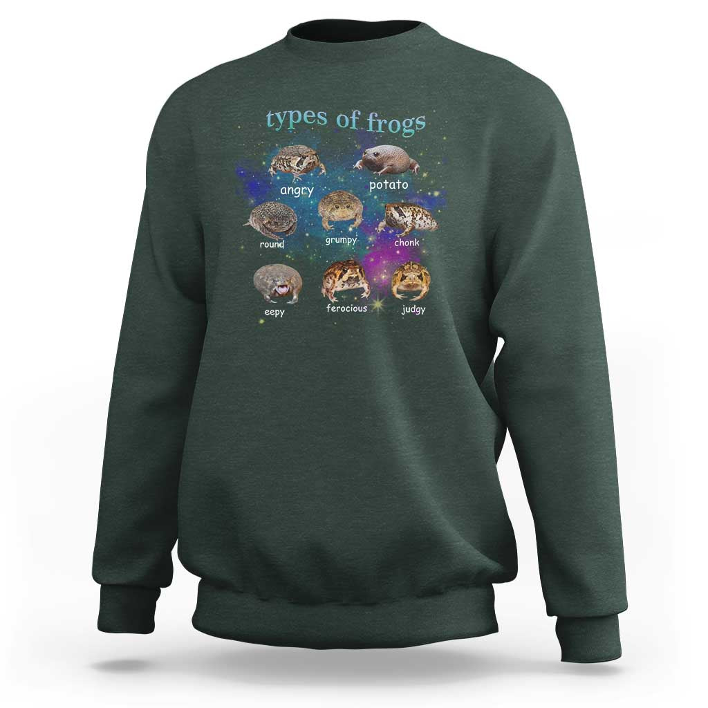Types Of Frogs Funny Rain Frog Meme Chart Sweatshirt Angry Grumpy Eepy Chonk Potato Round Judgy Ferocious
